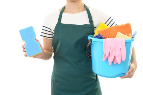 Professional window cleaning for Docklands waterfront properties
