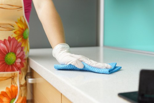 Professional Cleaner Docklands maintaining clean residential and commercial interiors