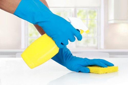 Professional stain removal for Docklands carpets and upholstery in modern apartments