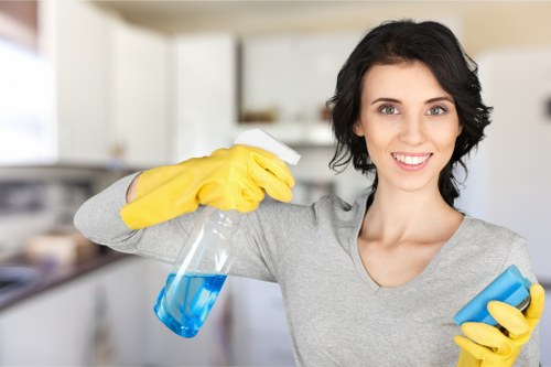 Detailed end of lease cleaning in a modern Docklands kitchen