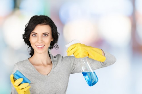 Professional mattress cleaning for Docklands apartment bedrooms