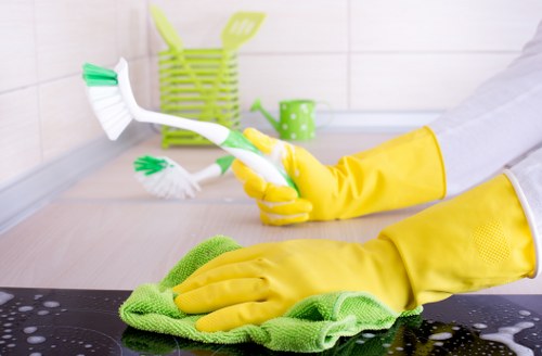 Targeted stain treatment for sofas, rugs, and soft furnishings in Docklands homes