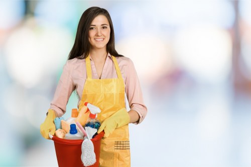 Local mattress cleaning service for Docklands rentals and homes