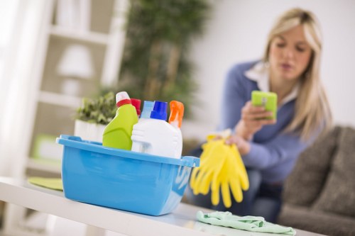 Local cleaner working in a riverside Docklands property