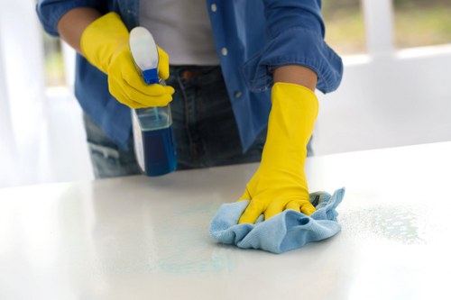 Local cleaners preparing a Docklands property for a detailed one-time clean