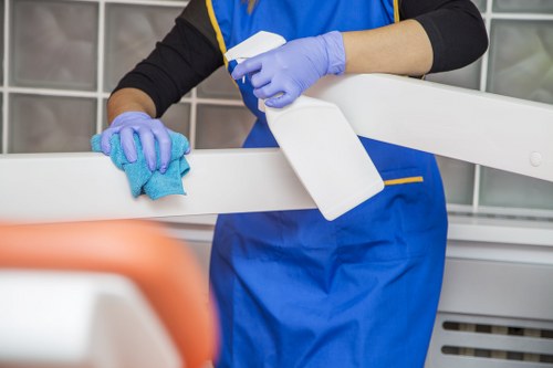 Cleaner treating carpet stains in a Docklands home or office
